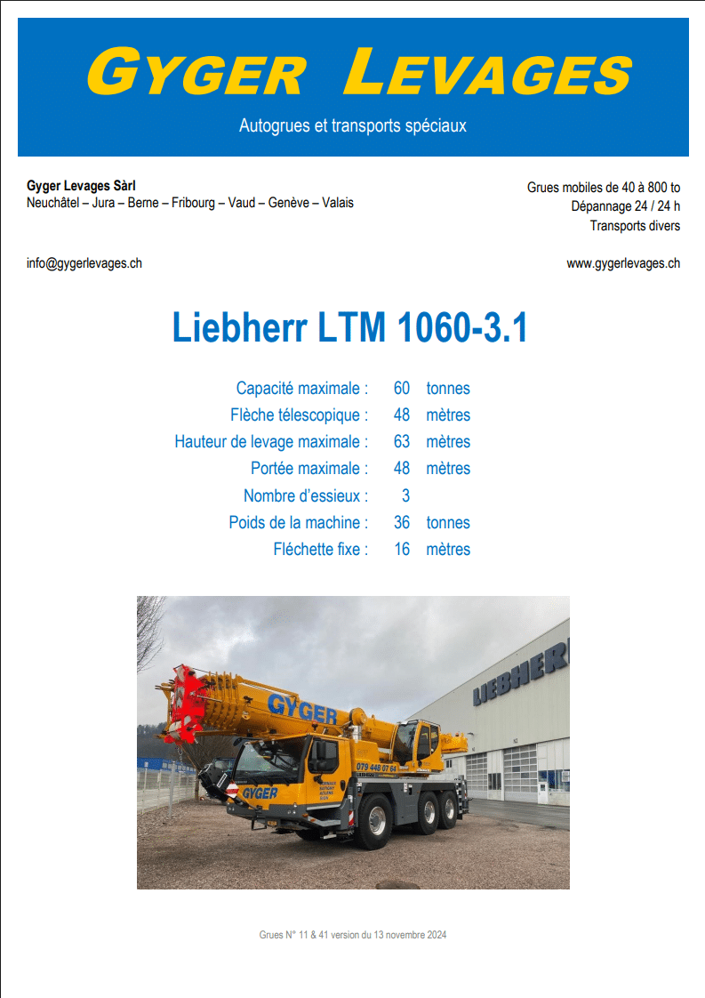 Image de la grue mobile télescopique 60 tonnes - LTM 1060-3.1