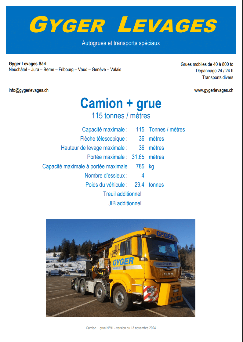 Image Camion + grue 115 tonnes mètres